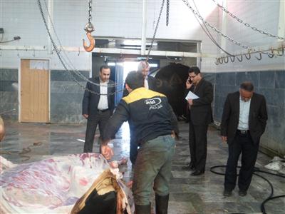 وضعیت اسفبار  کشتارگاه بستان آباد