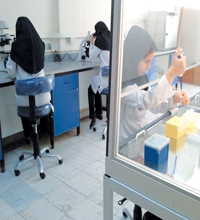 تحمیل هزینه ها سنگین  آزمایشهای موازی به صنایع غذایی آذربایجان شرقی