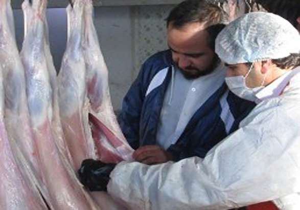 عاری بودن صنعت دامپزشکی آذربایجان شرقی از کریمه‌ی کونگو