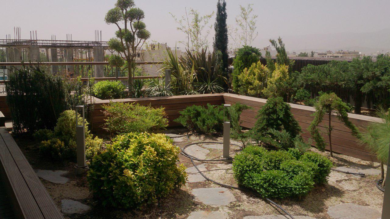 بام سبز ،‌یادم تو را فراموش